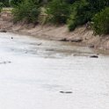 ZMB EAS SouthLuangwa 2016DEC10 NP 008 : 2016, 2016 - African Adventures, Africa, Date, December, Eastern, Mfuwe, Month, National Park, Places, South Luangwa, Trips, Year, Zambia